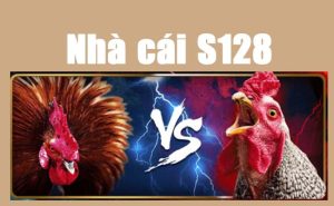 Đá Gà SV128 Alo789 – Thế Giới Cá Cược Đỉnh Cao Cho Bet Thủ Đam Mê