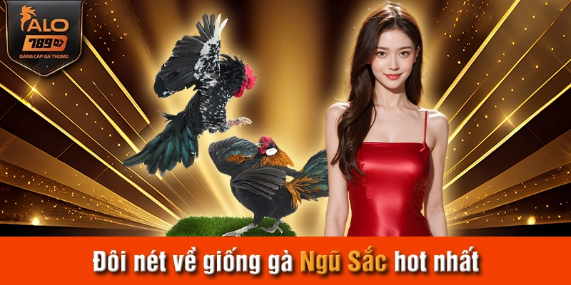 Đôi nét về giống gà Ngũ Sắc hot nhất 